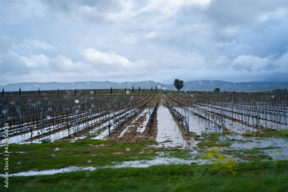 Un champ de vigne en provence inondé par les orages sous la pluie et les nuages avec une perspective vers les collines