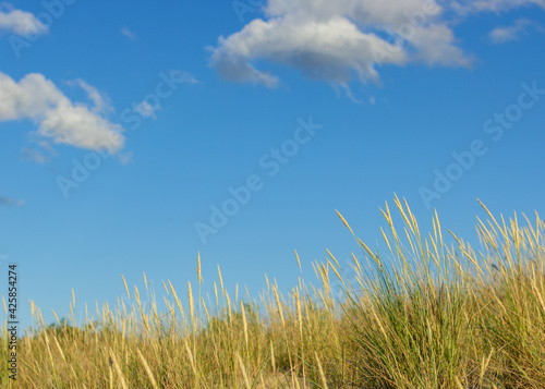 beautiful blue sky view with clouds and nobody