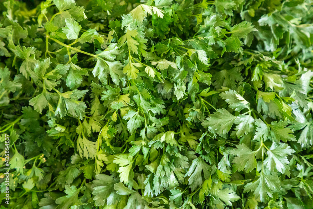 custom made wallpaper toronto digitalFresh vegetable for sales in turkish market in Antalya, Turkey