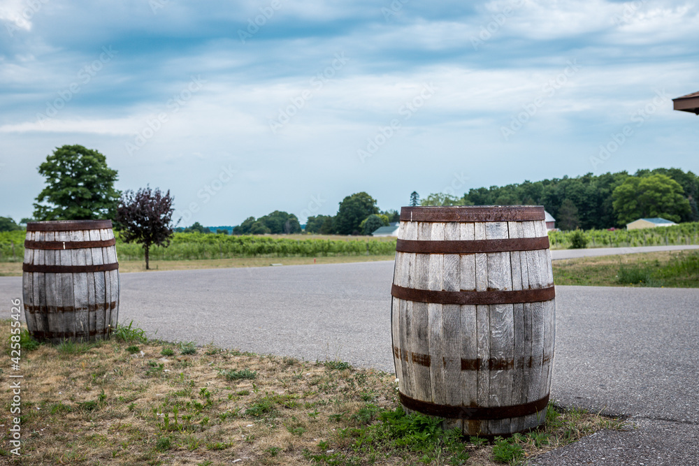 Obraz premium Wine Barrels