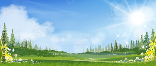 Spring landscape with grass field, blue sky and fluffy clouds,Panorama farm land,fresh and peaceful rural nature in springtime in the morning, Cartoon vector illustration for spring and summer banner