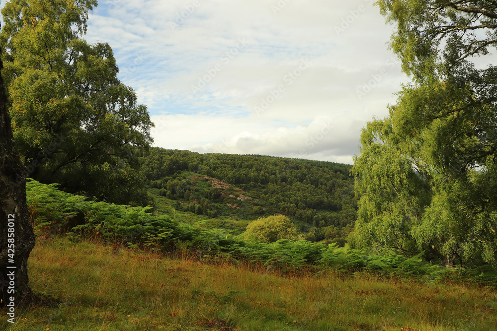 Views over Glen Affric from Eagle Brae Views over Glen Affric from Eagle Brae