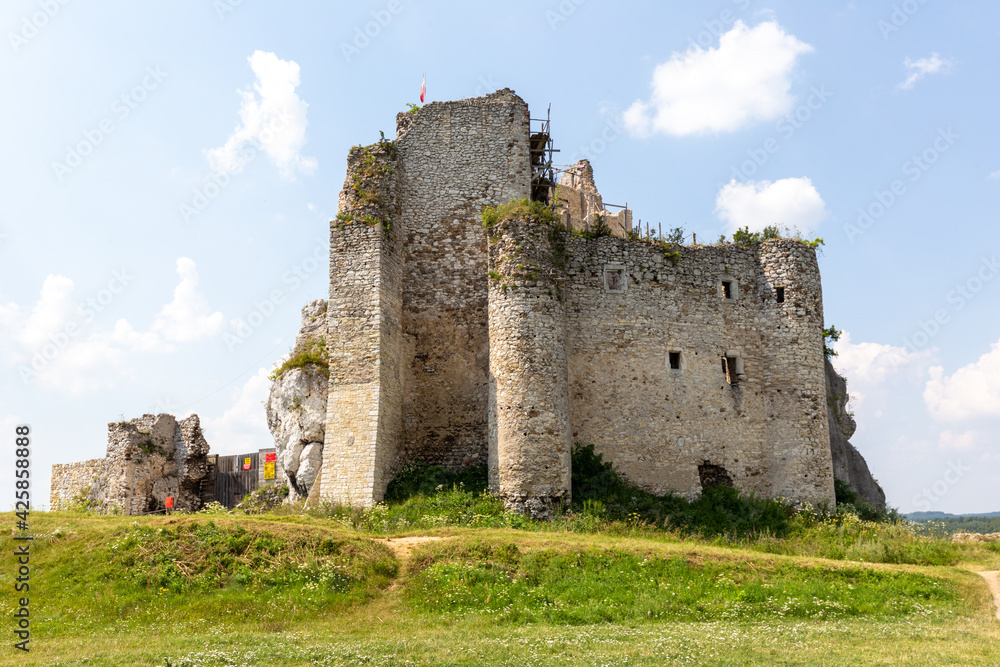 Old polish castle ruins in Mirow on sunny day in summer