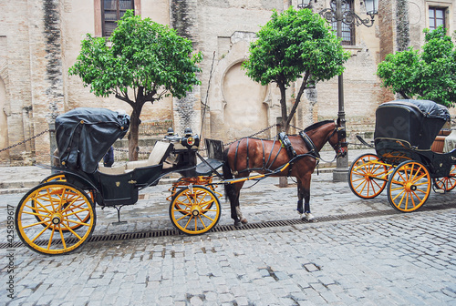 Typical horse carriage in the city of Seville, Andalucia, Spain