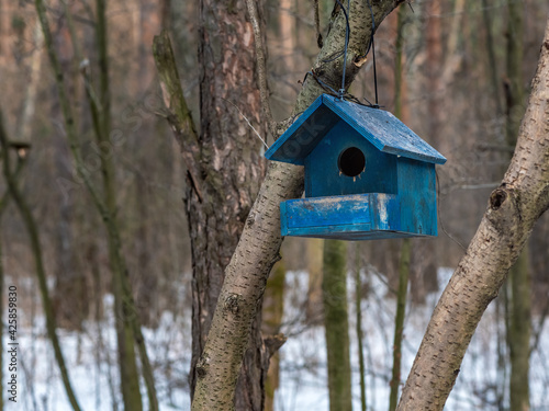 Feeder For Birds In The Forest