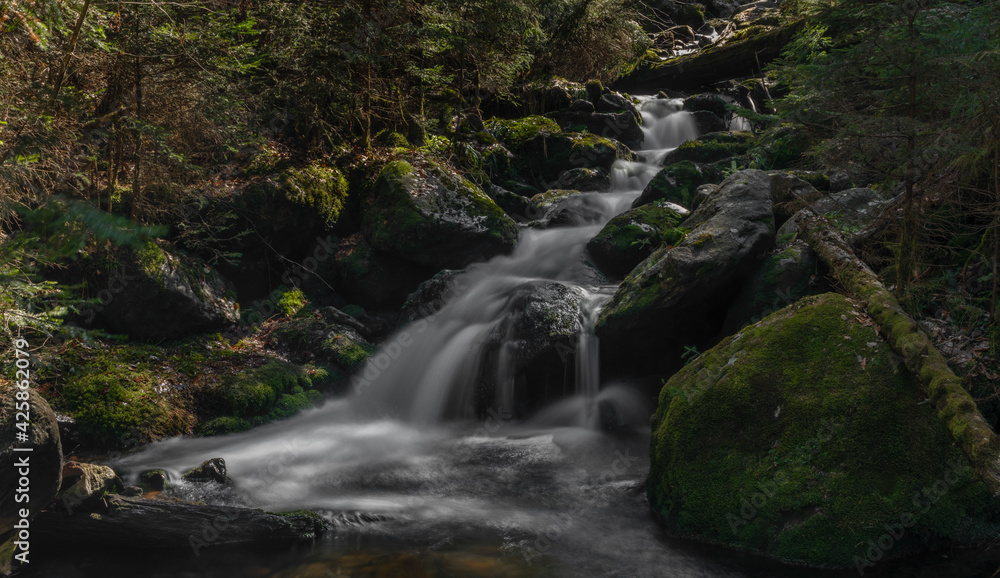 Fototapeta premium Small creek near Cerny creek in Sumava national park