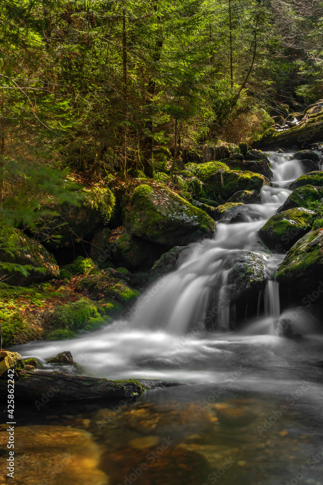 Small creek near Cerny creek in Sumava national park