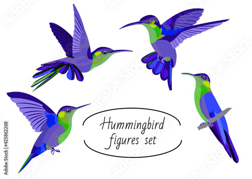 Set of four figures of colorful tropical hummingbird birds flying, fluttering and sitting