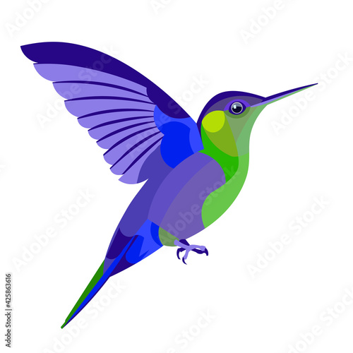 Vector isolated figure colored tropical bird hummingbird flapping its wings