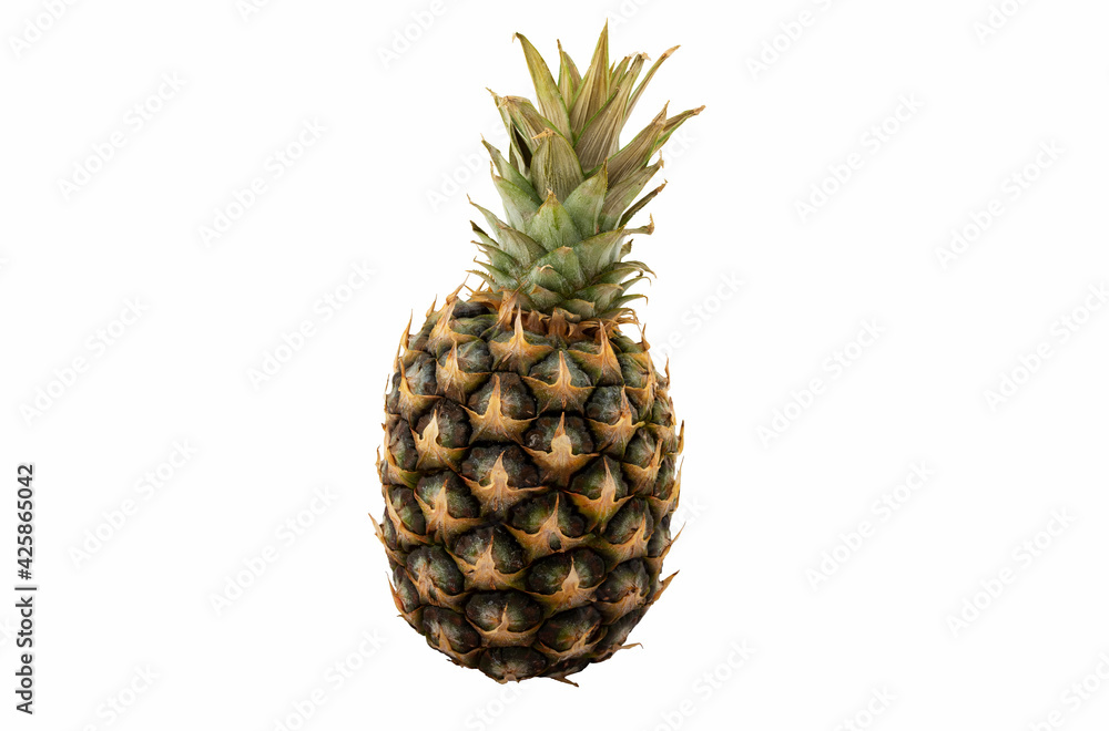 Sluggish pineapple isolated on white background. Sluggish pineapple isolated on white background.