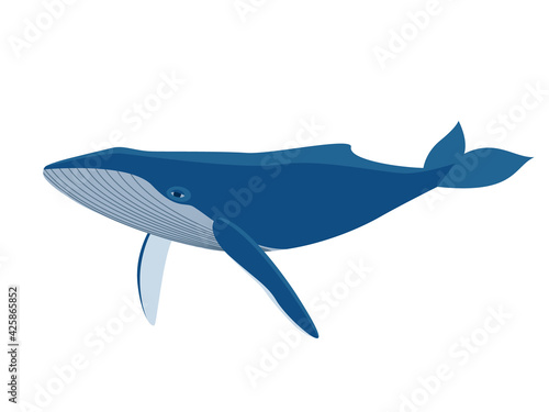 The blue whale is isolated on a white background. Flat style illustration for stickers, prints, stickers, logos. Vector illustration