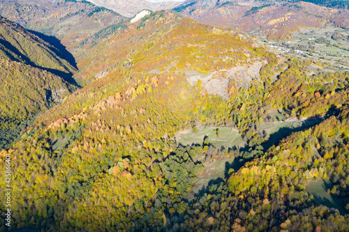 View from a drone to a rusty forest. Autumn colors and amazing views