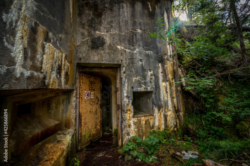 Abandoned, destoyed concrete bunker with embrasure in summer forest.Entrance to the bunker.