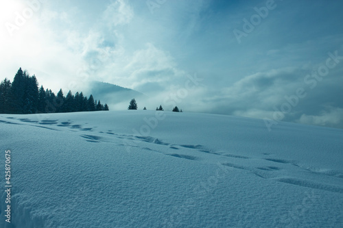 Winterlandschaft im Retro-Stil © Irmgard