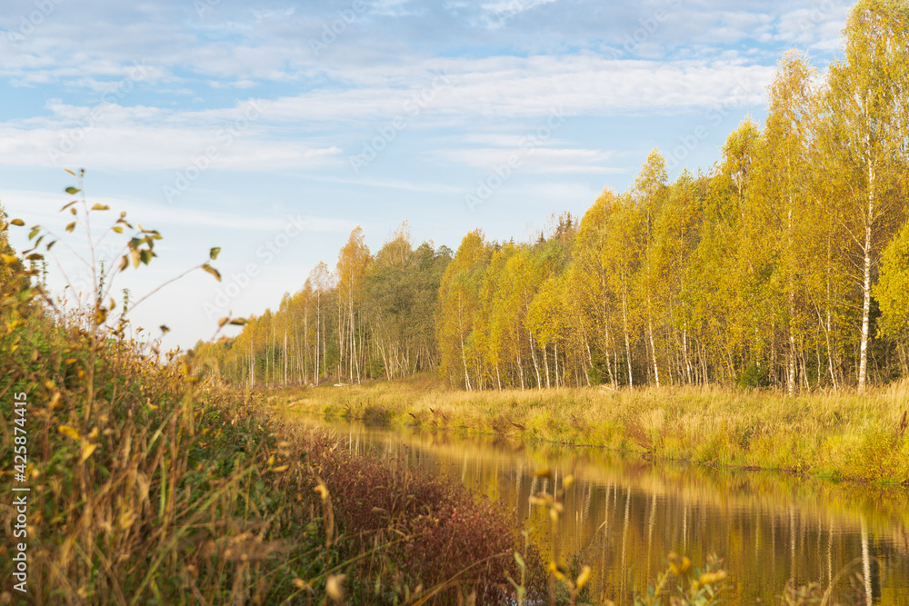 Autumn nature in the countryside. Yellowed forest and river Autumn nature in the countryside. Yellowed forest and river