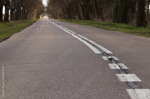 A wide view of the road and the trees next to it