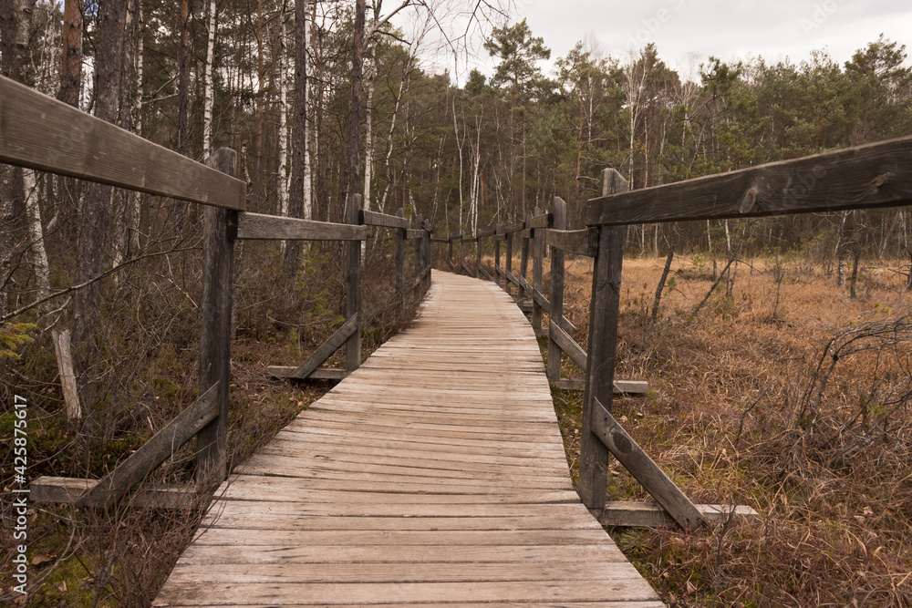 Wooden footbridge through the marshes