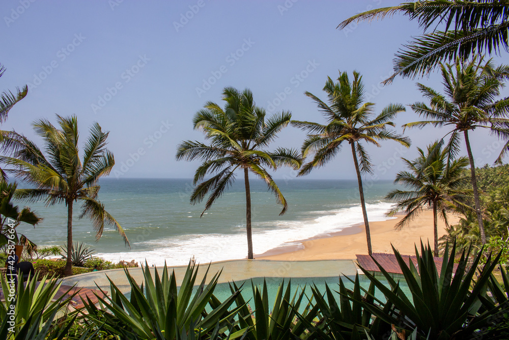 Indien - Kerala - Kovalam: Palmenstrand