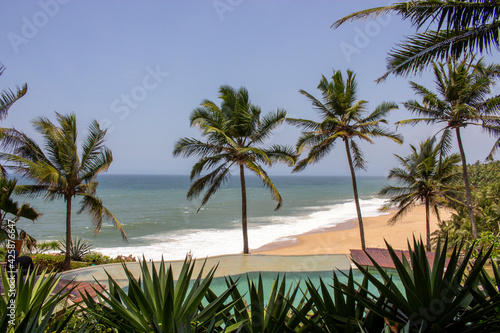 Indien - Kerala - Kovalam  Palmenstrand