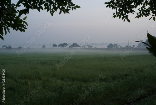 Indien - Kerala  Morgenstimmung bei Kumarakom