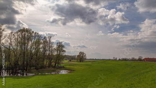 Floodplain behind the dike by the river Nederrijn in the Netherlands.