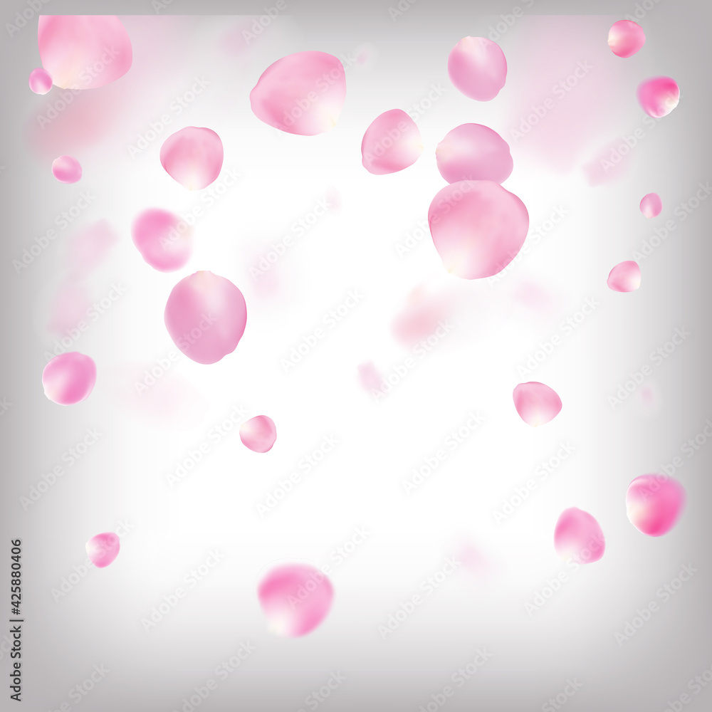 Rose Petals Flying Confetti. Blooming Cosmetics Ad Elegant Floral