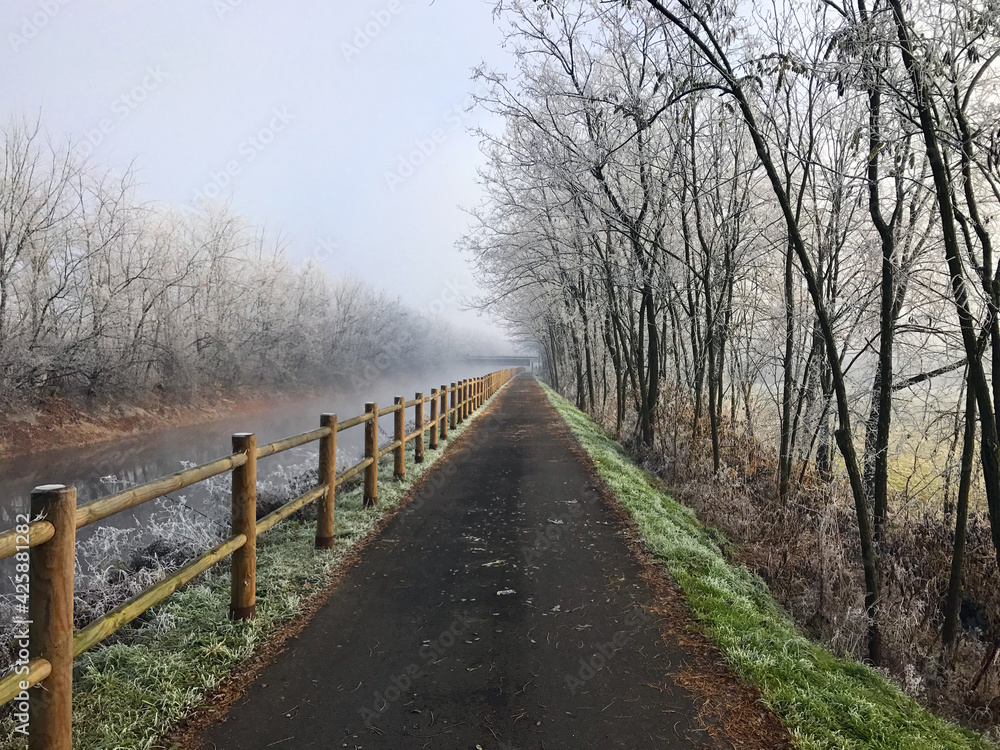 Canal in winter