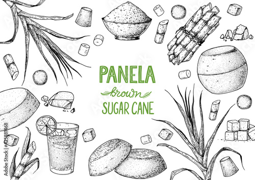 Panela sugar sketch. Hand drawn vector illustration. Vintage design template. Cane sugar. Gur or jggery powder. Organic unrefined. Vintage Design for packaging.
