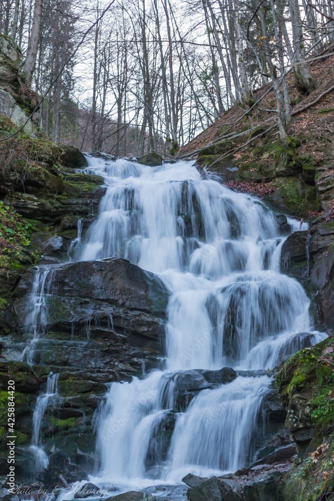 Obraz premium waterfall in the forest