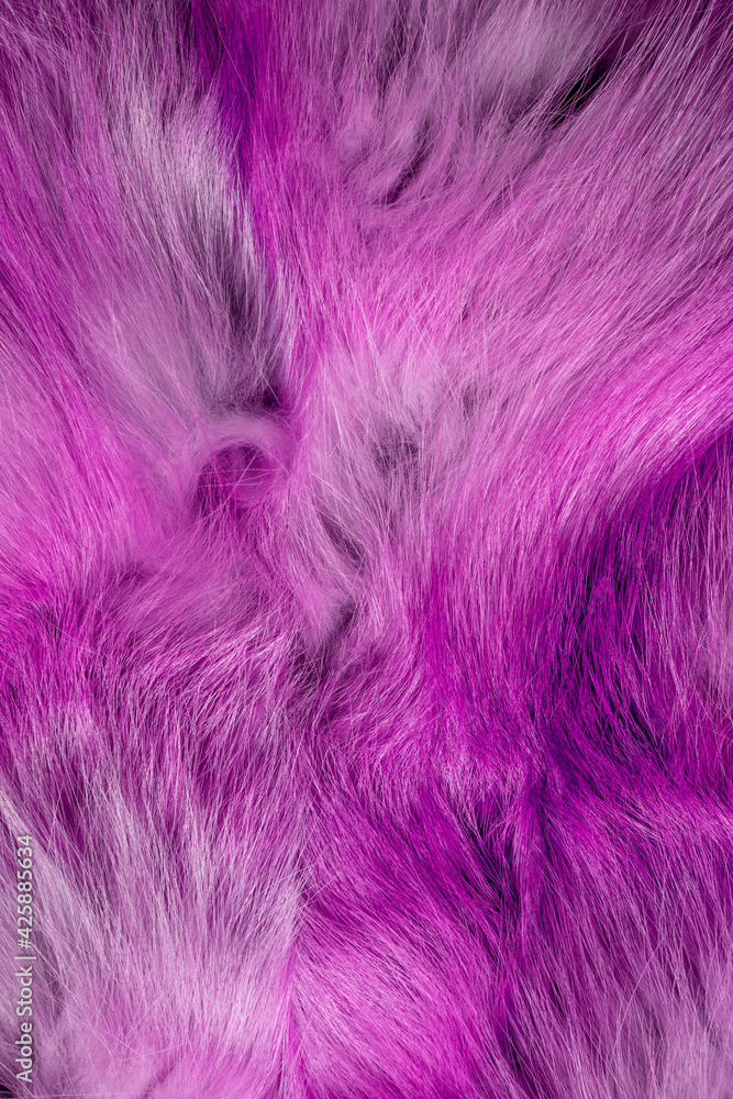 Obraz premium Fashionable luxury fluffy close-up of painted fox fur in warm colors. Bright pink texture of wild animal hair. 