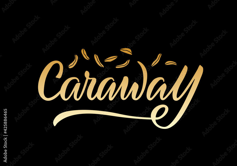 Vector illustration of caraway lettering for packages, product design, banners, stickers, spice shop price list and decoration. Handwritten isolated word with seeds for web or print
