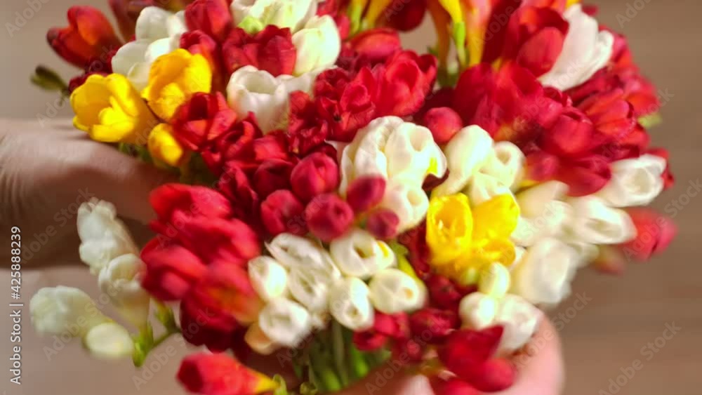Woman is putting colorful spring flowers in vase. Vase with a bouquet of multi-colored flowers. Spring time