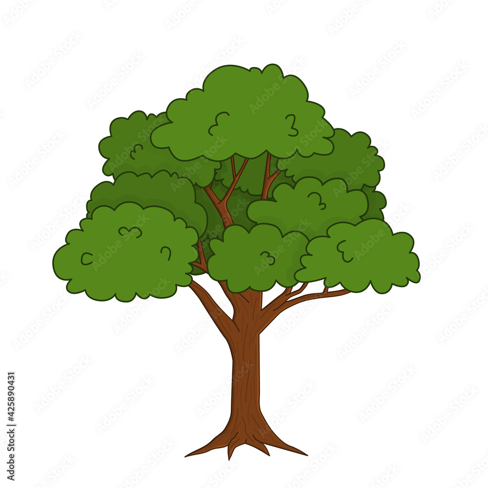 Fotografie Vector outline doodle cartoon single bright green oak tree