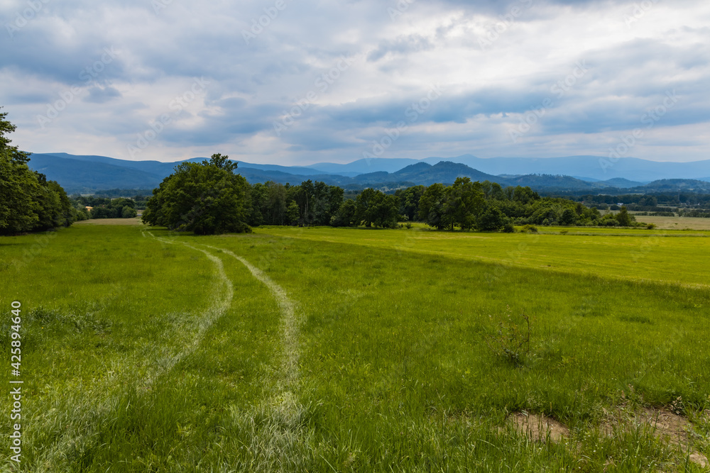Long path with bushes and fields around in Kaczawskie mountains Long path with bushes and fields around in Kaczawskie mountains