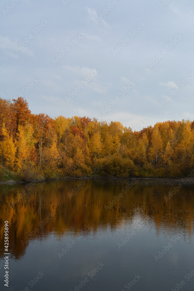 Beautiful landscape in fall season with lake and yellow trees on its bank.