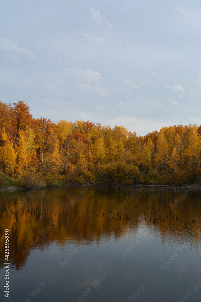 Beautiful landscape in fall season with lake and yellow trees on its bank. Beautiful landscape in fall season with lake and yellow trees on its bank.