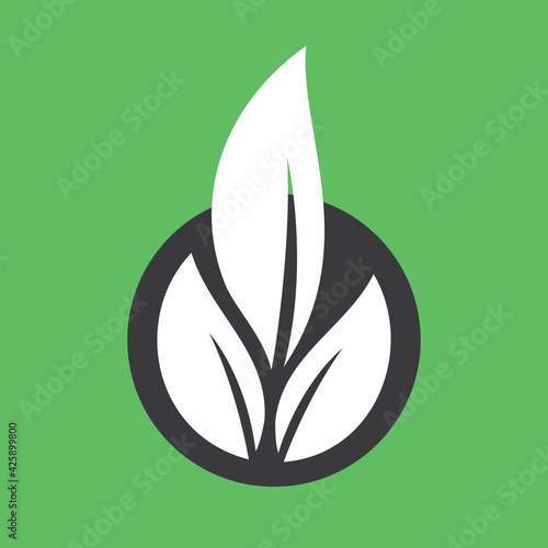 Plant and leaves icon. Leaf symbol of ecology, enviroment and nature. Vegetarian and vegan pictogram design.