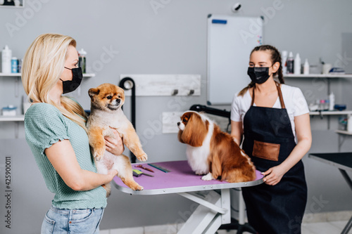 Woman came to pick up her pet in grooming salon. Female groomer and customer are wearing protective face mask to protect themselves from coronavirus. photo