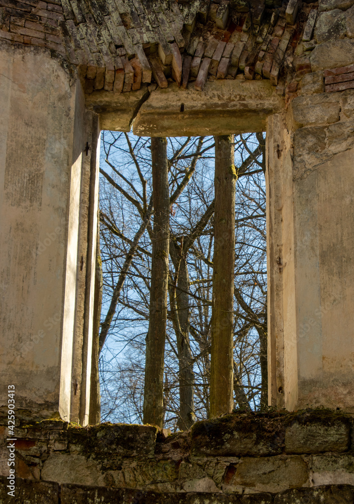View through a hole for window in an abandoned ruin in the woods