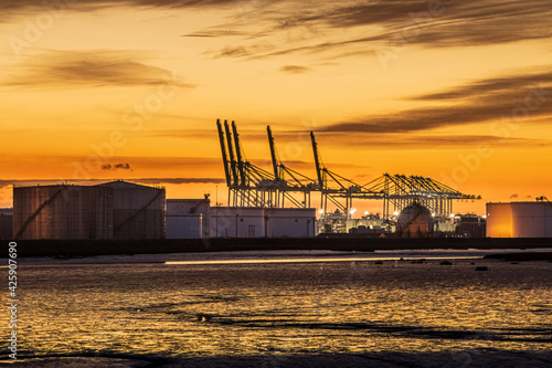shipping cranes at sunset © Hayden