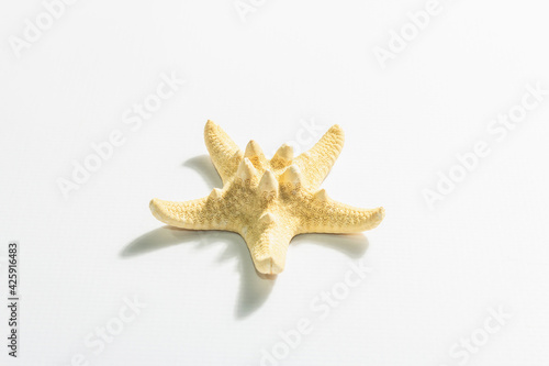 Single starfish isolated on white background