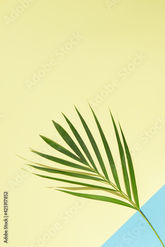 Upper side copy space. Green palm tree leaves on branches on light sea water blue background from bottom right corner and sand yellow dominating background. Flat lay minimal nature summer beach concep