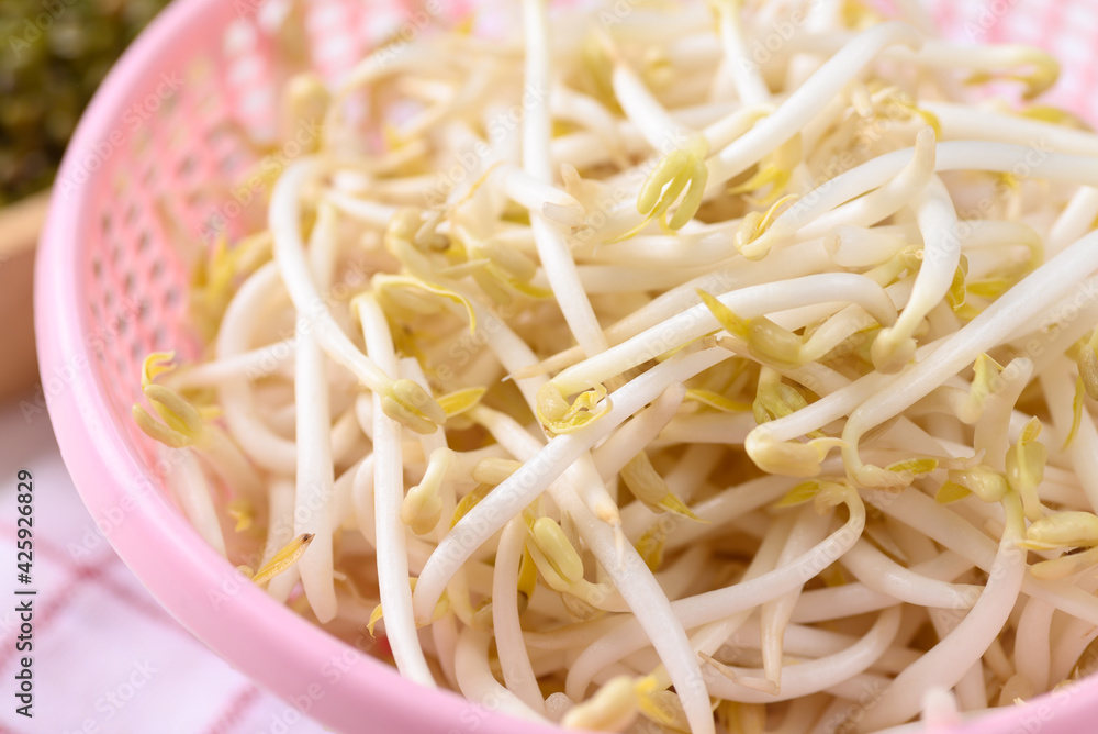 Fresh mung bean sprouts in pink basket, Organic vegetables and food ingredients in Asian food Fresh mung bean sprouts in pink basket, Organic vegetables and food ingredients in Asian food