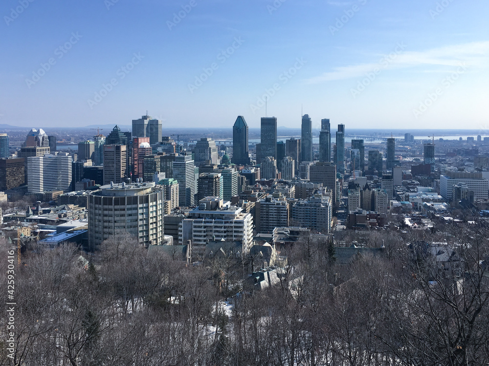 Fototapeta premium View of downtown Montreal from Mont-Royal