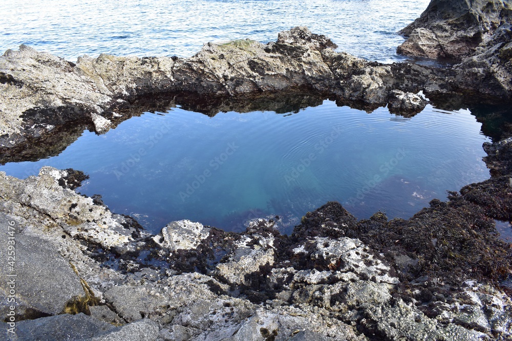 海の中にある透明な海の岩の池