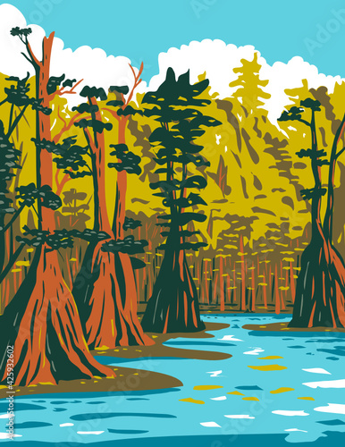 WPA poster art of baldcypress tree growing in the southern swamp of Apalachicola National Forest located in the Florida Panhandle in works project administration style or federal art project style.