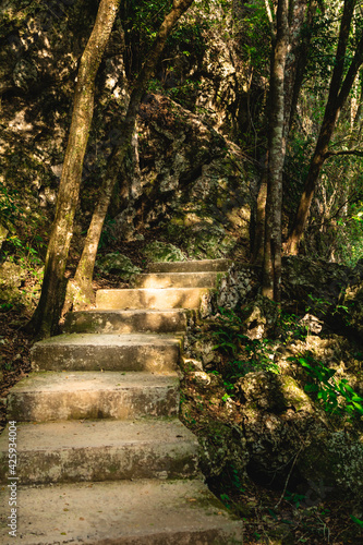 Escalera entre la naturaleza