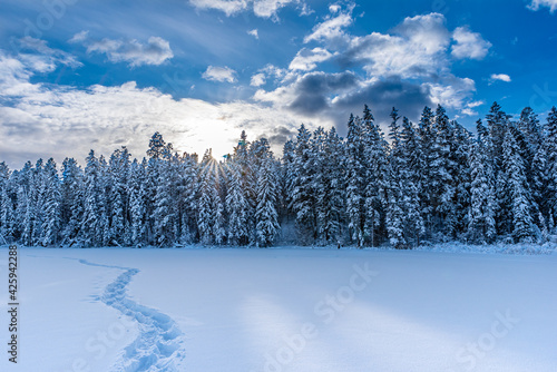 Sunset over fresh snowshoe tracks in the snow on Lake Lillian near Invermere, BC photo