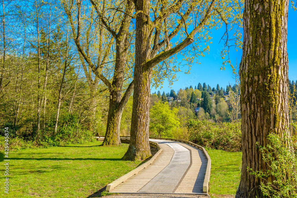 Fragment of Deer Lake trail in Vancouver, Canada.