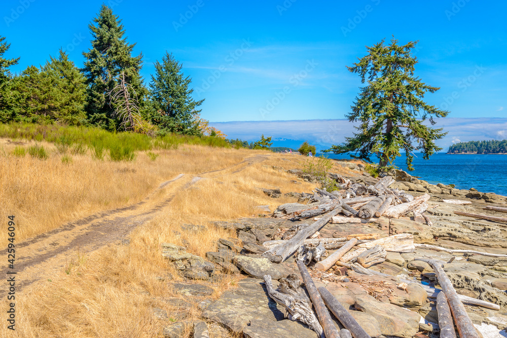 Fragment of lake view trail in Drumbeg park, Nanaimo, British Columbia, Canada.